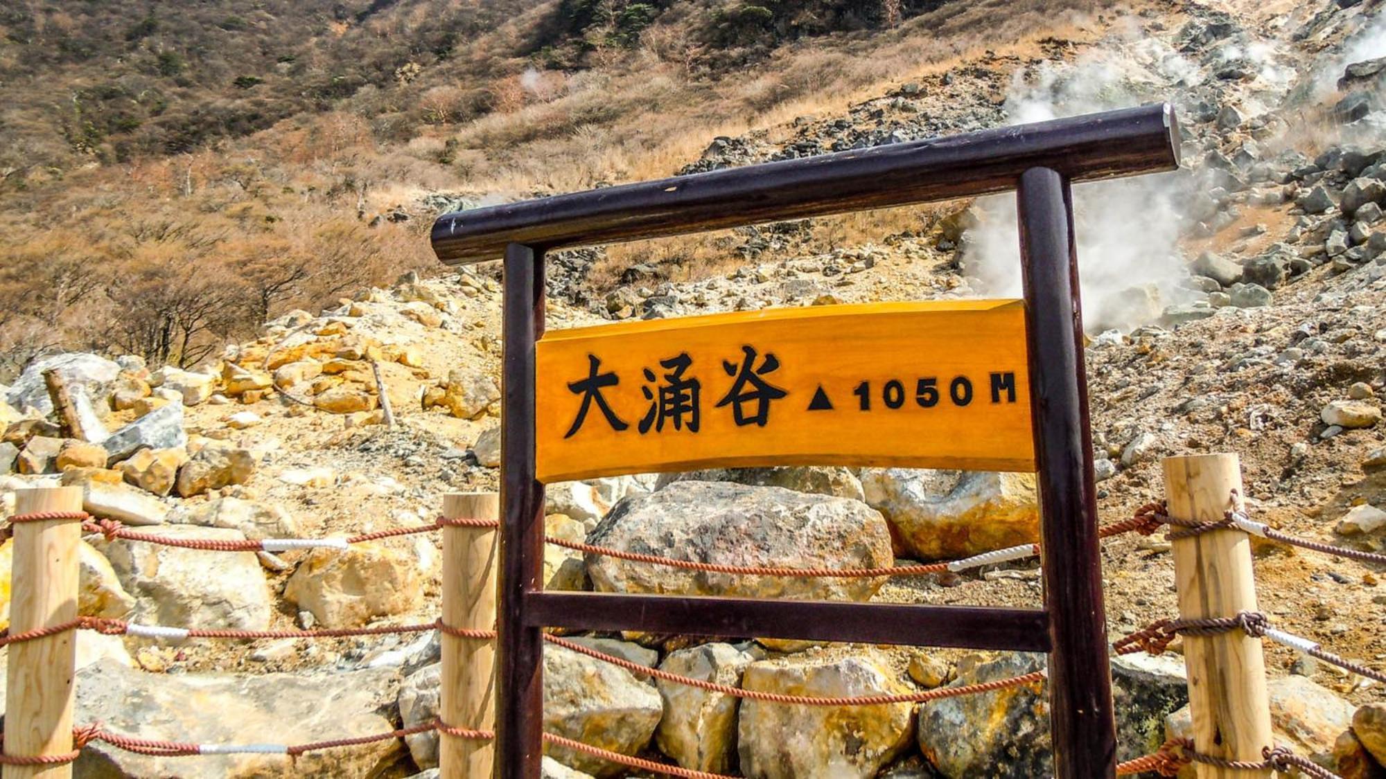 Toyoko Inn Gotemba Ekimae Kültér fotó